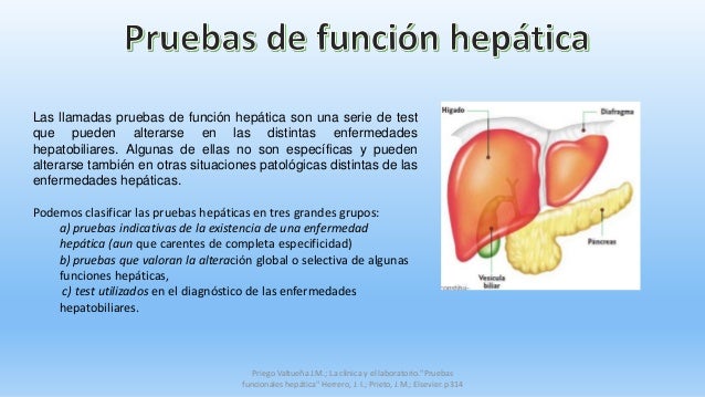 pruebas de funcion hepatica
